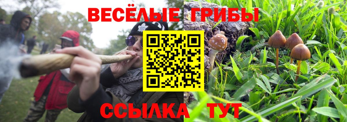 Псилоцибиновые грибы Cubensis  Вход с VPN  Галлюциногенные грибы MAGIC MUSHROOMS  Новотроицк 